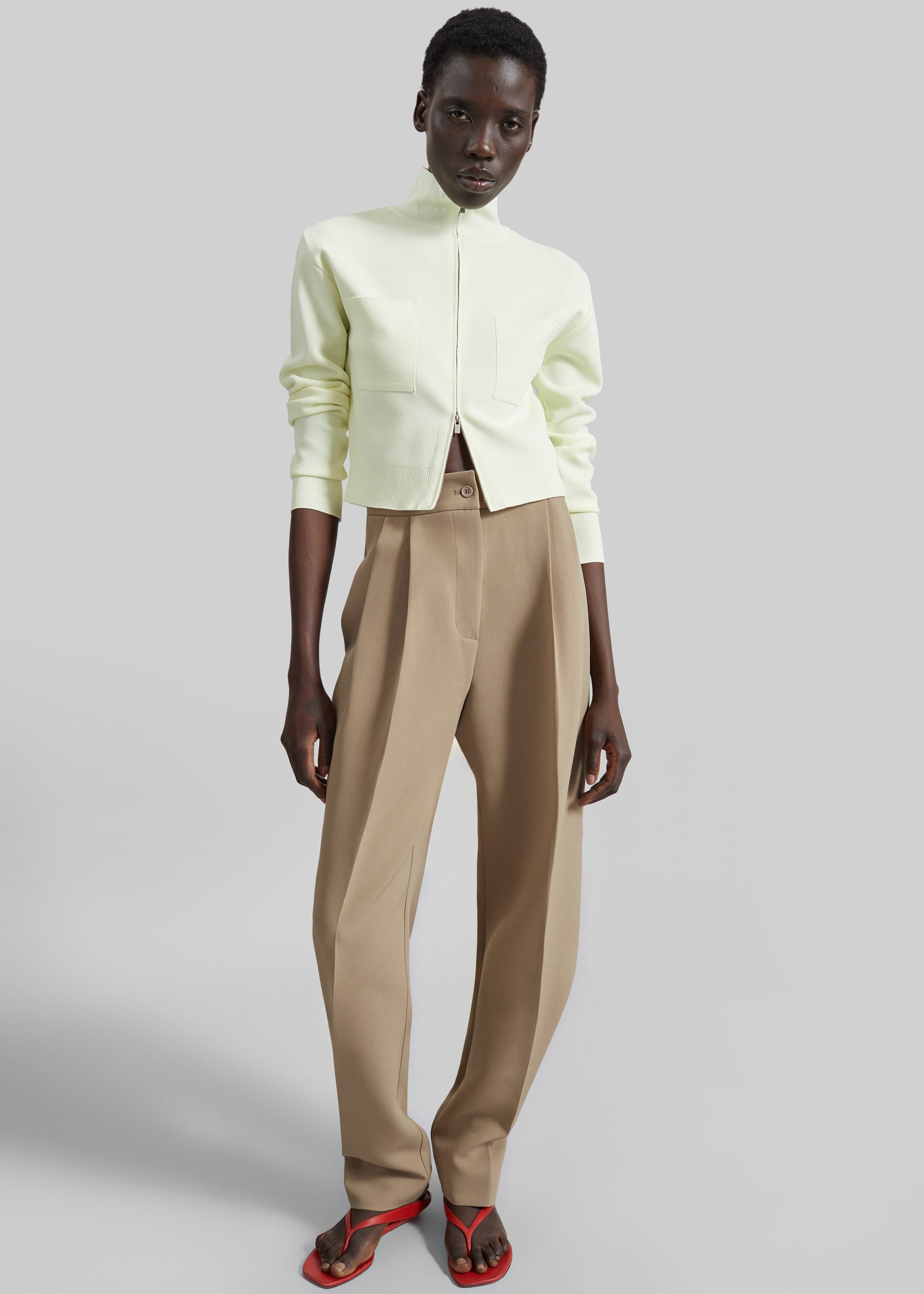 Doyer Pleated Trousers - Beige