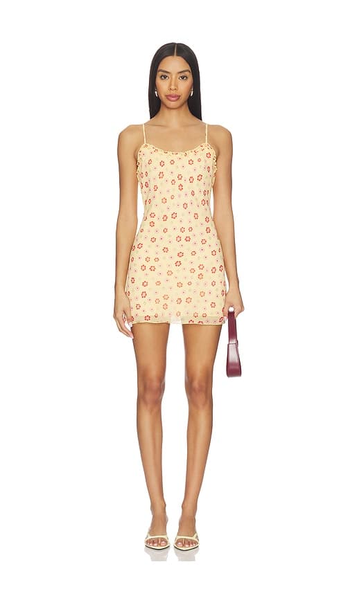 Josie Chiffon Mini Dress