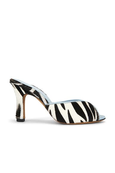 The Mule in Zebra Ponyhair
